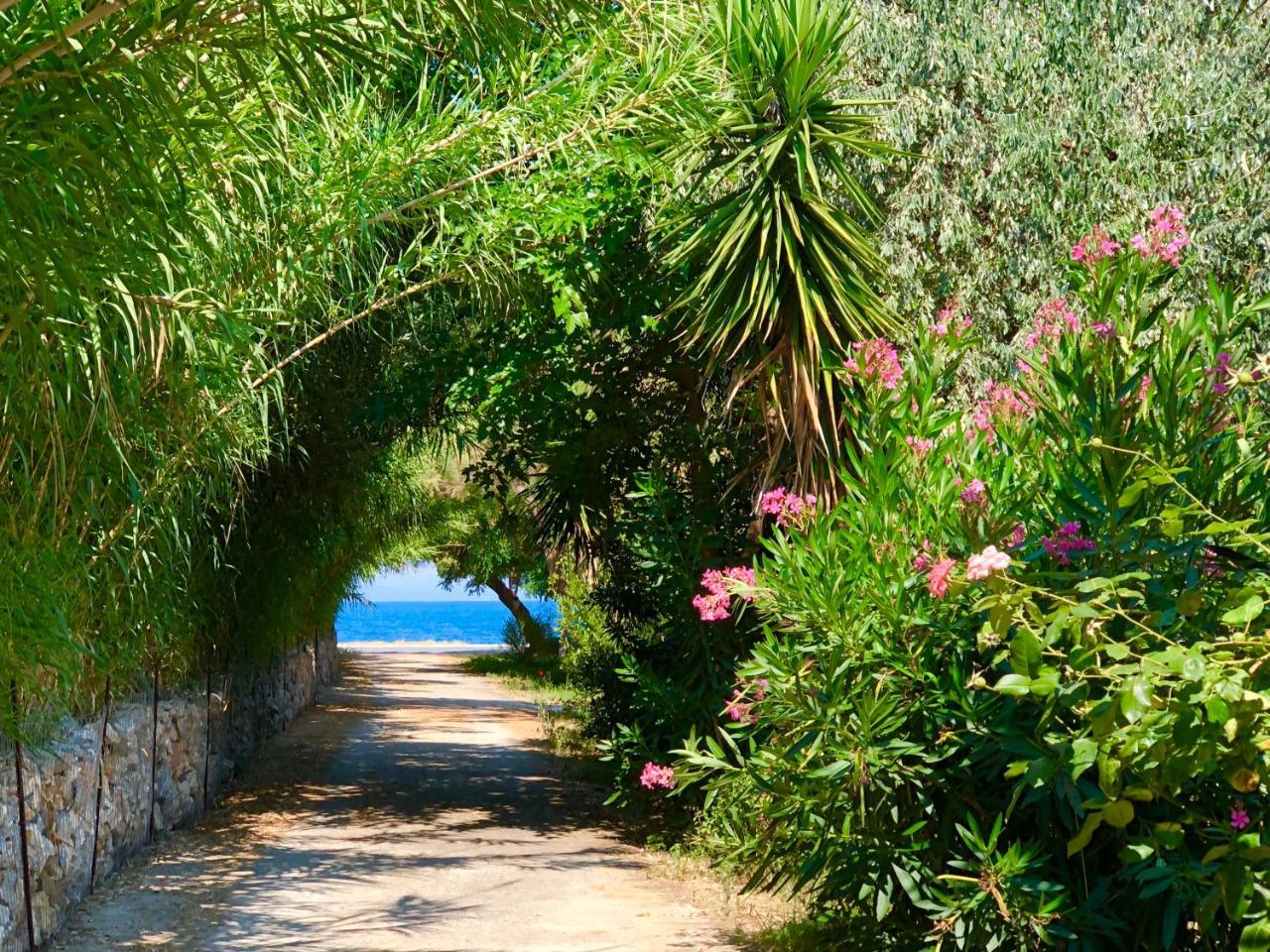 Ferienwohnung Ionos Pyrgi Thermis Exterior foto